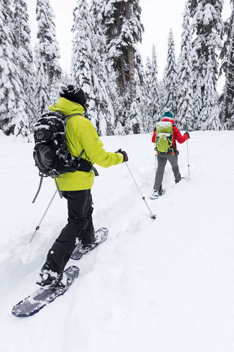 Kije teleskopowe MSR DYNALOCK TRAIL BACKCOUNTRY | 100 - 140 cm