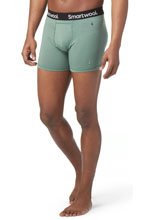 Bokserki wełniane męskie SMARTWOOL MERINO 150 BOXER BRIEF