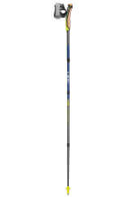 Kije do nordic walking LEKI TRAVELLER FX.ONE CARBON