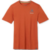 Koszulka wełniana męska SMARTWOOL WILDERNESS SUMMIT GRAPHIC TEE