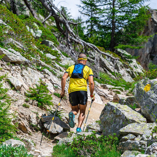 Kije trekkingowe GRIVEL TRAIL 3