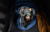 Namiot pompowany VANGO TACOMA AIR 800XL PACKAGE