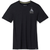 Koszulka wełniana męska SMARTWOOL WILDERNESS SUMMIT GRAPHIC TEE