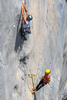 Lonża asekuracyjna GRIVEL DAISY CHAIN EVO + karabinek Sigma K8G