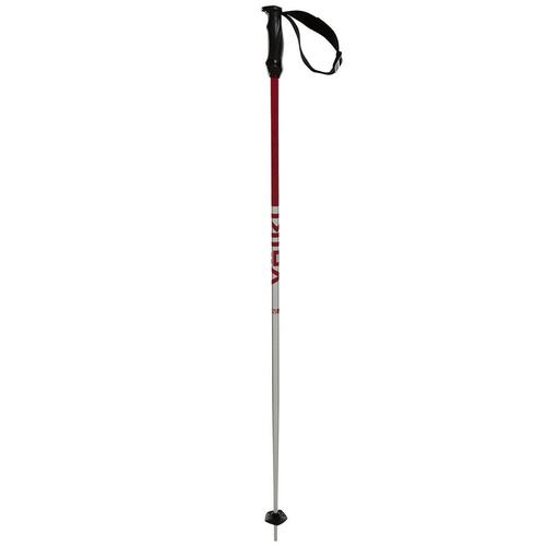 Kije narciarskie VOLKL RENTASTICK ALU POLES