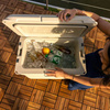 Chłodziarka COLEMAN PRO 45QT COOLER BOX