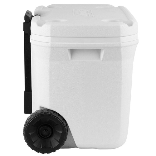 Chłodziarka COLEMAN 50QT XTREME MARINE COOLER BOX