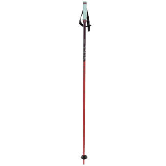 Kije narciarskie VOLKL PHANTASTICK - 18 mm