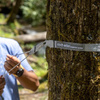 Taśmy do montażu hamaka ENO HELIOS ULTRALIGHT SUSPENSION SYSTEM