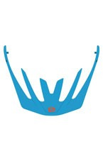 Daszek do kasku Protera+ RUDY PROJECT