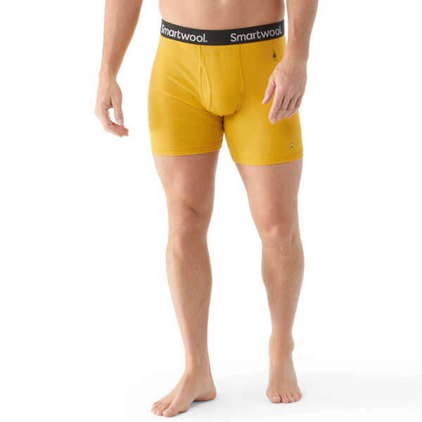 Bokserki SMARTWOOL MERINO BOXER BRIEF