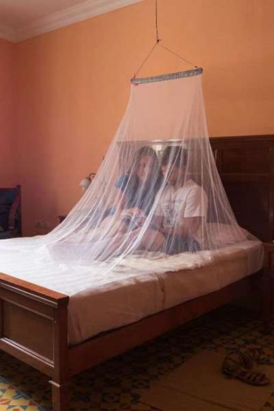 Moskitiera do materaca dwuosobowa LIFESYSTEMS MICRONET DOUBLE MOSQUITO NET