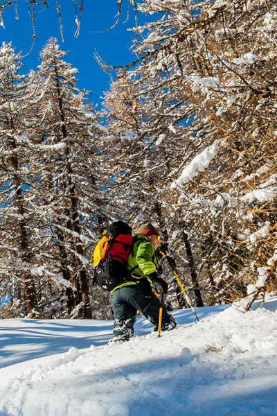 Rakiety śnieżne GRIVEL MONTEROSA SNOWSHOES