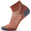 Skarpety do biegania SMARTWOOL RUN ZERO CUSHION ANKLE SOCKS